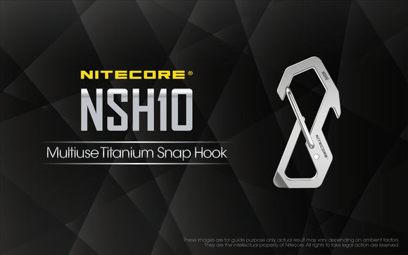 NSH10 Titanium Key Carabiner